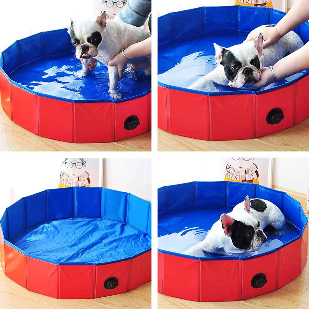 Foldable Pool for Pet and Kids - Portable and Durable Splash Fun for the Whole Family