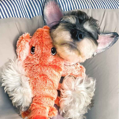Floppy Lobster Interactive Dog Toy