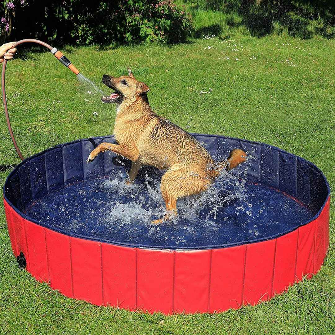 Foldable Pool for Pet and Kids - Portable and Durable Splash Fun for the Whole Family