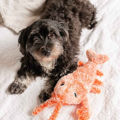 Floppy Lobster Interactive Dog Toy