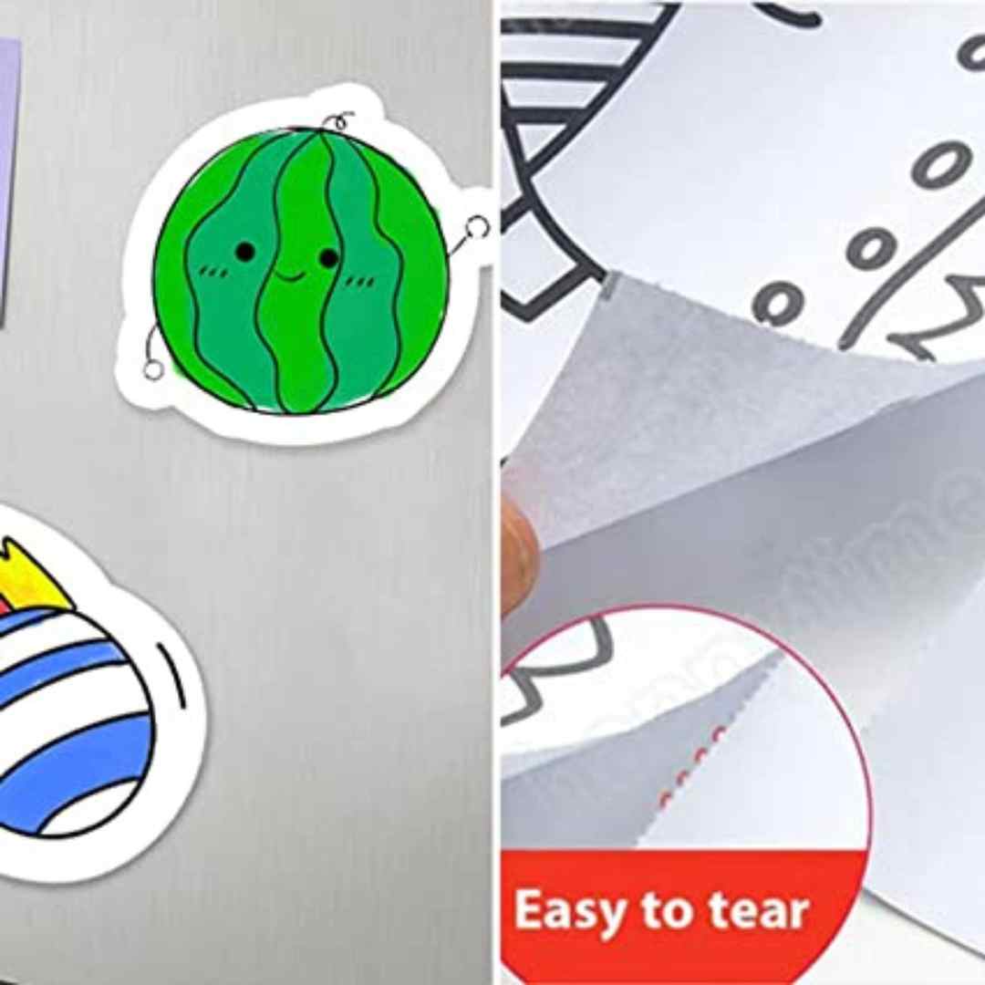 Colorful Creations Roll (Set of 2)