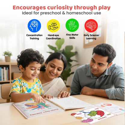 Human Anatomy Busy Book