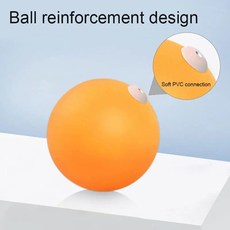 Ping Pong Table Tennis