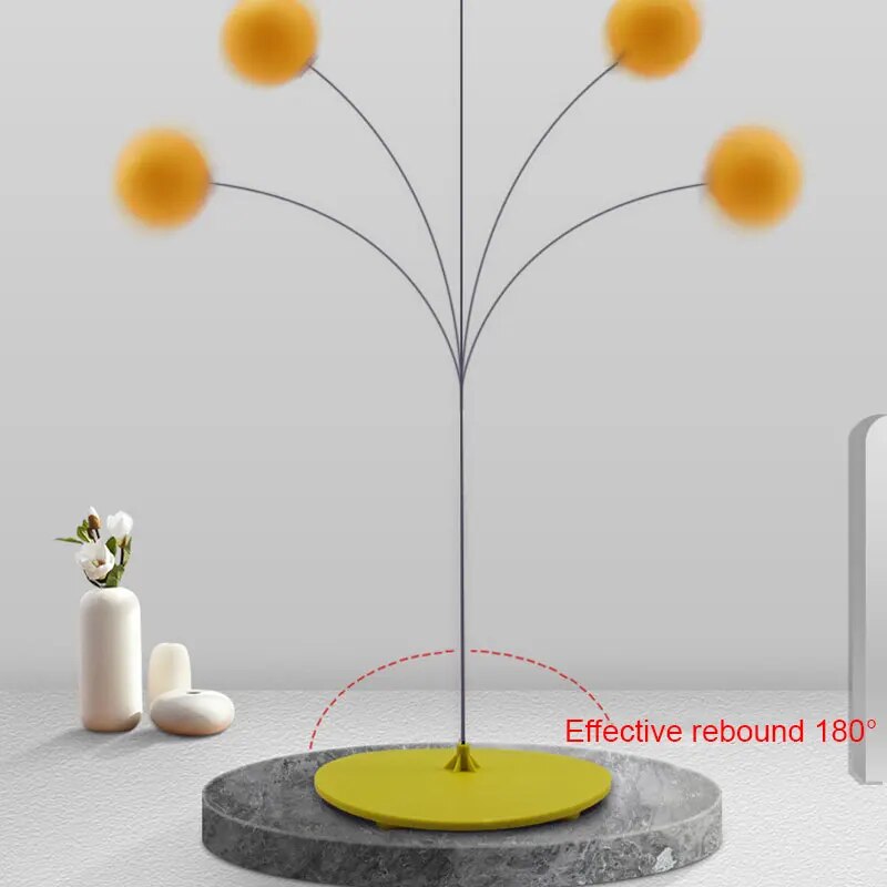 Ping Pong Table Tennis