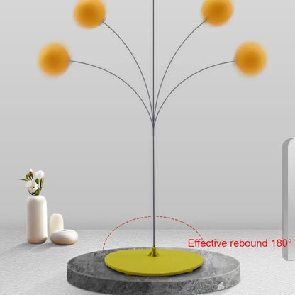 Ping Pong Table Tennis