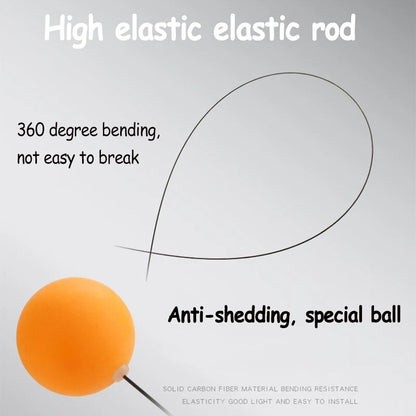 Ping Pong Table Tennis