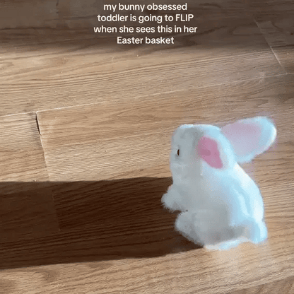 Moving Rabbit Toy