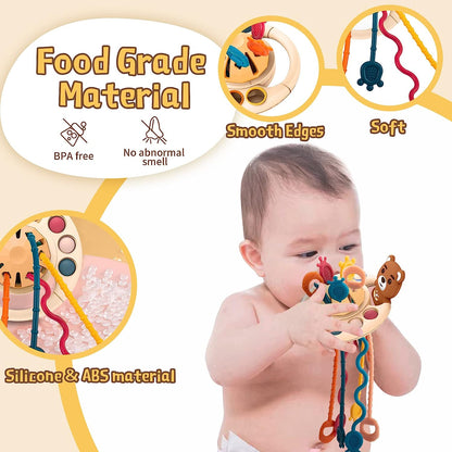 Little Bear Pull Box Toy