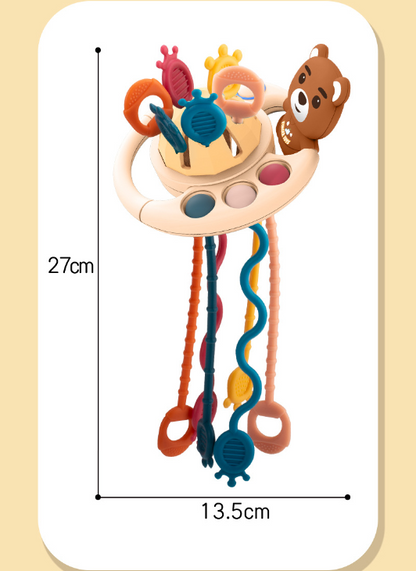 Little Bear Pull Box Toy