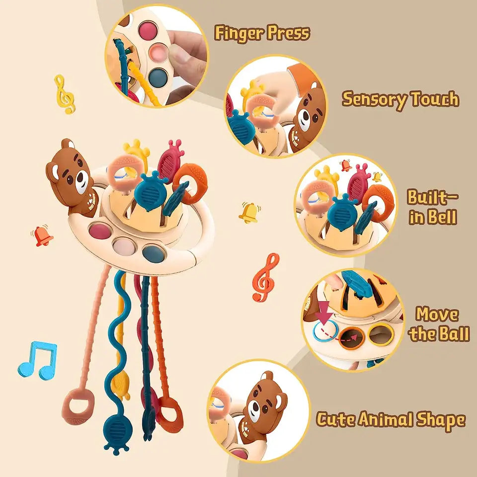 Little Bear Pull Box Toy