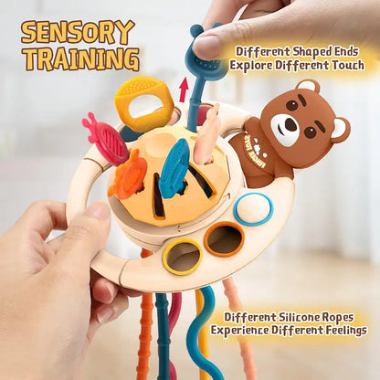 Little Bear Pull Box Toy