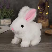 Moving Rabbit Toy