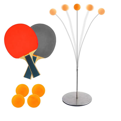 Ping Pong Table Tennis