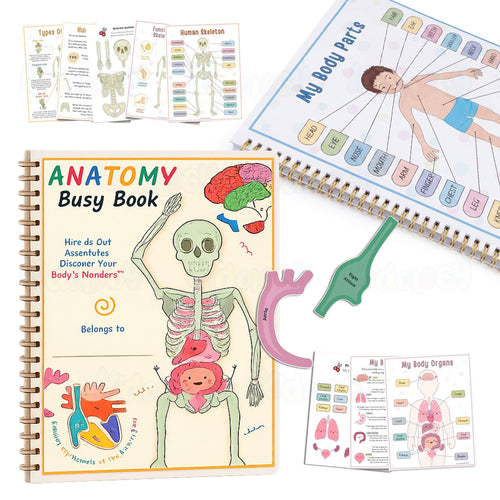 Human Anatomy Busy Book
