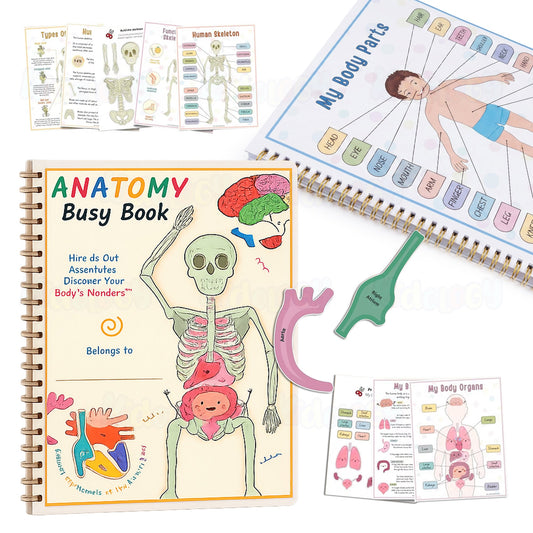 Human Anatomy Busy Book
